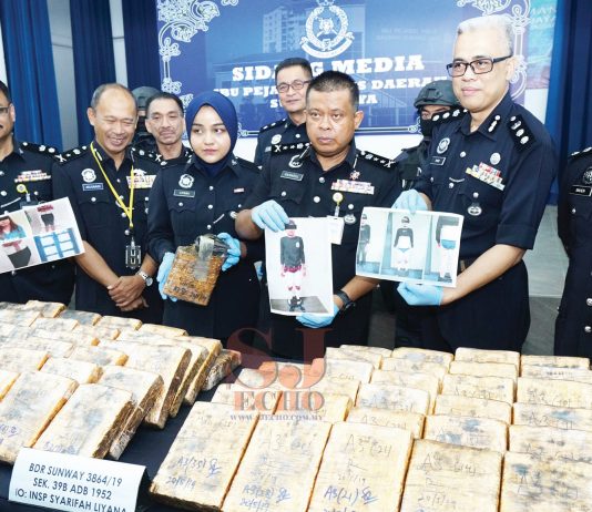 RM240K Worth of Ganja Seized in Bandar Sunway