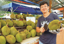 Not Butter, but Margarine Durians!