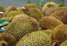 10 More Days to the Biggest Charity Durian Fest