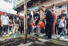 KL GETS 16 MELAKA TREES TO SYMBOLISE CLOSE MBMB-DBKL RELATIONSHIP
