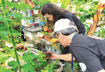 Make a Date with the King of Fruits this August
