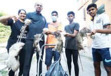 Ops Tikus in USJ21 Goes “Fowl”