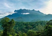 MAHATHIR HIGHLIGHTS MALAYSIA’S CONSERVATION EFFORTS