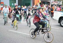 Hundreds Show Up for Malaysia Day Celebrations