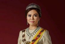 SELANGOR TENGKU PERMAISURI UPSET OVER ROUGH HANDLING OF STRAY DOG