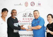 Classic Cars and Beetles Raise Funds for Ailing Children