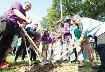 50,000 + 30 Trees Planted in Subang Jaya for 2019