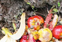 DIY Easy Composting