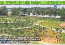 Is Our Urban Forest Park at Risk of Being Abandoned?
