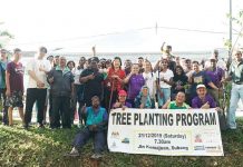 Planting the Trees of Tomorrow