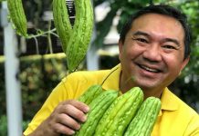 YB NG SZE HAN – STAYING HOME TO FIGHT COVID-19