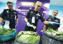 Lorry Load of Ketum Stash Seized in Puchong