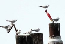 LEAVING 2020 AND ENTERING 2021