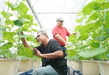 Taking Urban Farming to the Next Level