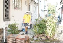 EDITORIAL: BEAUTY IS IN THE EYES OF THE BEHOLDER