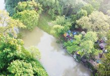 A Night in the Forest by the River