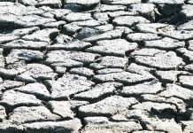 EL NINO EXPECTED TO PEAK END OF 2023 UNTIL EARLY 2024