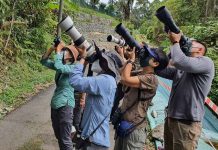 BIRDWATCHING – A GROWING RECREATIONAL PAST TIME