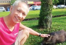 Not So “Boaring” New Friend at Wawasan Puchong Hill