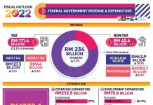 Budget 2022 – My Views