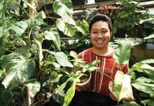 PART 2: MONEY DOES “GROW” ON TREES
