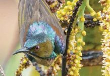 EDITORIAL: WORKING TOGETHER IN THE COMMUNITY SELFLESSLY WITHOUT PRIDE OR PREJUDICE