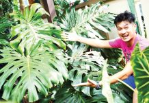 PART 3: MONEY DOES “GROW” ON TREES