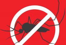 SPIKE IN DENGUE CASES; NO DEATH REPORTED