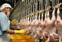 ANXIETIES AFTER THE FIRST SIX MONTHS OF 2022