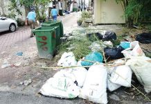 Litterbugs – What Shall We Do With Them?