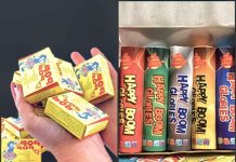 No Firecrackers Please