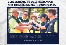 Dengue Rears Its Ugly Head Again and Threatens Lives in Subang Jaya