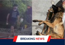 Pet Dog Dies of Poisoning. Subang Jaya Police Open Investigations