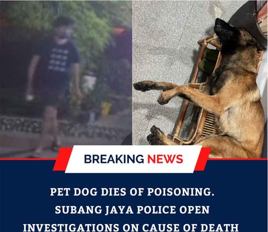 Pet Dog Dies of Poisoning. Subang Jaya Police Open Investigations
