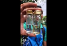 Keep Dengue Out of Your Homes
