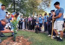 Planting Trees for a Greener Tomorrow