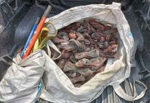 Four Men Arrested Over Cable Theft