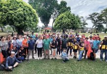 Combating Dengue: Effective Measures to Prevent Mosquito Breeding in Your Compound