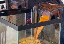 AN OFFENCE TO USE AQUARIUMS FOR SELLING DRINKS – HEALTH DG