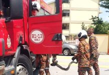 Slithering Invaders: The Growing Presence of Pythons in Neighborhoods