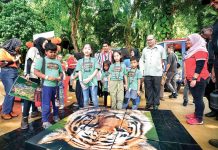 Get to Know Our Tigers at Sunway Theme Parks