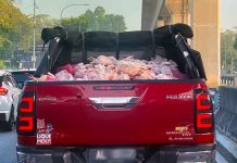 WHERE ARE THE CHICKENS HEADING TO?