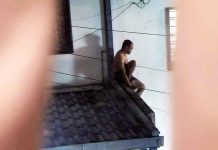 CRIME ALERT: “Orang Minyak” on the Prowl in USJ2