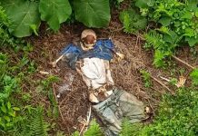 Skeletal Remains of a Man Discovered in Putra Heights