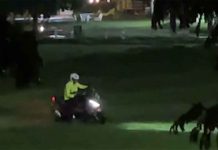 Motorcyclist Damages USJ11/5 Field with His Stunt