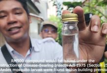 DENGUE ALERT: Mosquito Larvae Found Breeding in Discarded Pails and Unused Pots