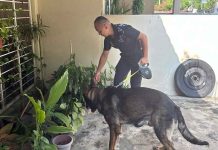 SJ Cops Nab Two SS15 Robbery Suspects in 6.5Hrs After Incident