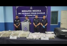 Drug User Turned Trafficker Gets Nabbed with Ganja Worth RM1.05Mil