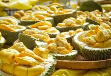 EDITORIAL: CELEBRATE FATHER’S DAY: BUY HIM AND THE FAMILY TICKETS TO JOM DURIAN 13 ON JUNE 30