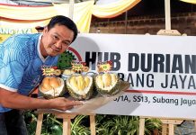 SS13’s Durian Hub Is the New King-Sized Hangout in Subang Jaya